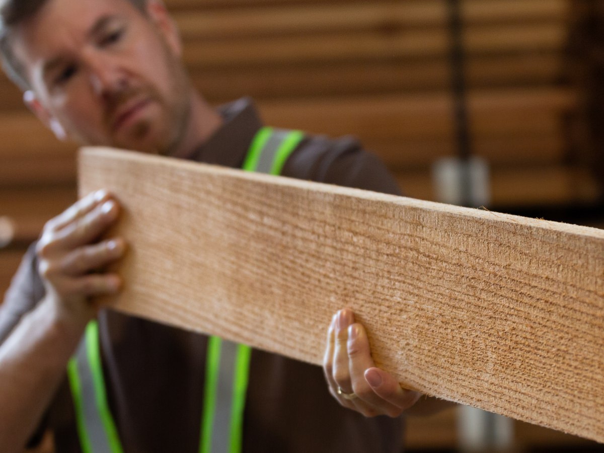 worker inspecting plank of wood